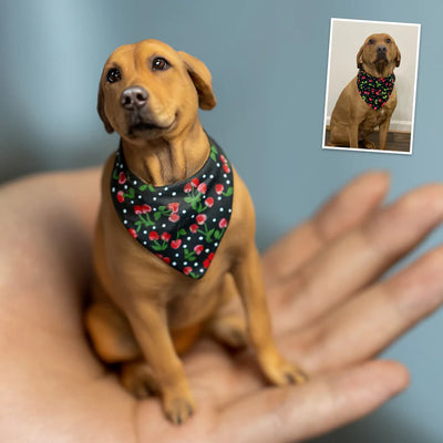 PetClone 3D™ - Una Miniatura Que Derrite Corazones