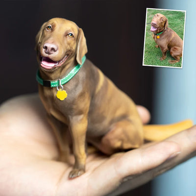 PetClone 3D™ - Una Miniatura Que Derrite Corazones