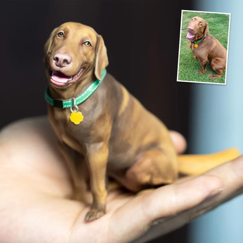 PetClone 3D™ - Una Miniatura Que Derrite Corazones