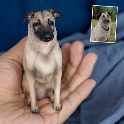 PetClone 3D™ - Una Miniatura Que Derrite Corazones