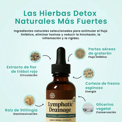 Lymphatic - Adiós Hinchazón: El Secreto Natural para Afinar Tu Silueta Desde Dentro